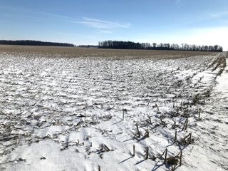 Property photo 36 - OHIO REAL ESTATE AUCTION - 202+/- ACRES IN 3 TRACTS IN VAN WERT COUNTY, OHIO